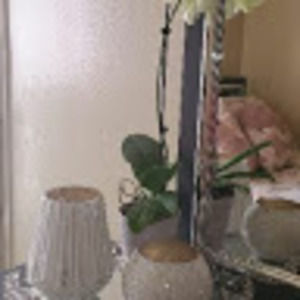 Meet your Posher, Lina